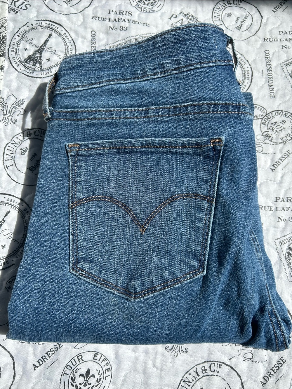 Classic Levis Women's Blue Jeans